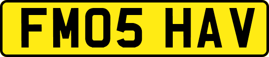 FM05HAV