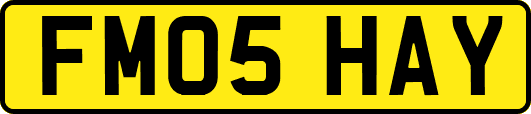FM05HAY