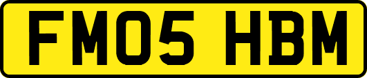 FM05HBM