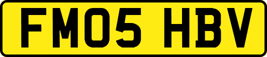 FM05HBV