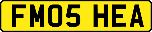 FM05HEA