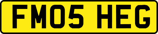 FM05HEG