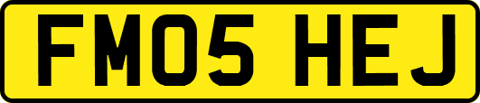 FM05HEJ