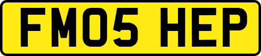 FM05HEP