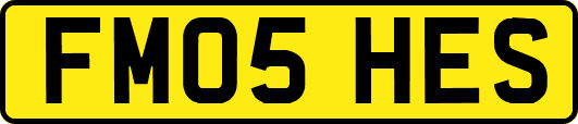 FM05HES
