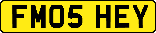 FM05HEY