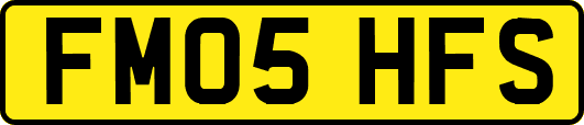 FM05HFS