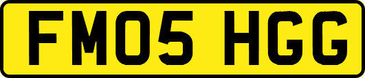 FM05HGG