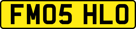 FM05HLO