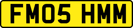 FM05HMM