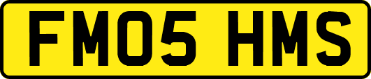 FM05HMS