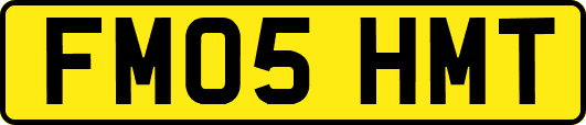 FM05HMT