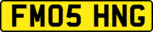 FM05HNG