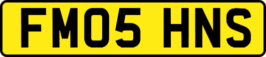 FM05HNS