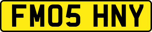 FM05HNY