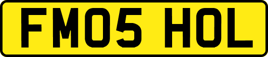 FM05HOL