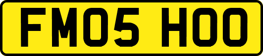 FM05HOO