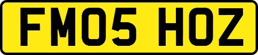 FM05HOZ