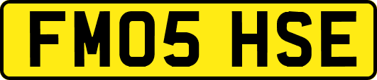 FM05HSE