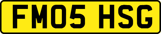 FM05HSG