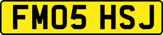 FM05HSJ