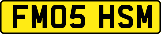 FM05HSM