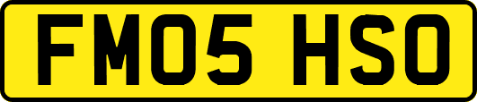 FM05HSO