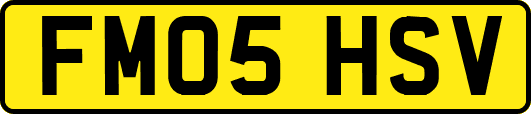 FM05HSV