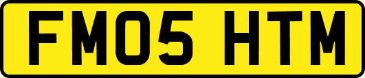 FM05HTM