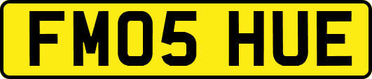 FM05HUE