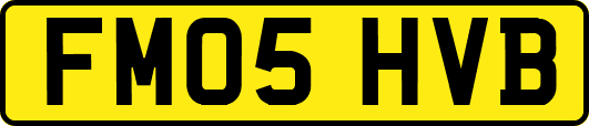 FM05HVB