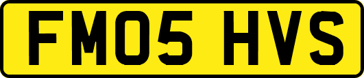 FM05HVS