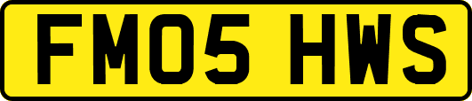 FM05HWS