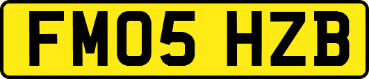 FM05HZB