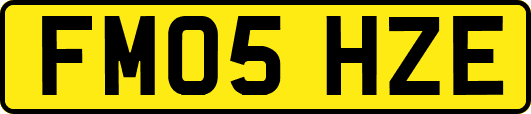 FM05HZE