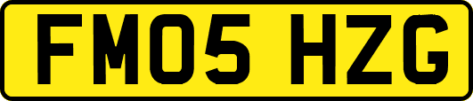 FM05HZG