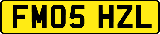 FM05HZL