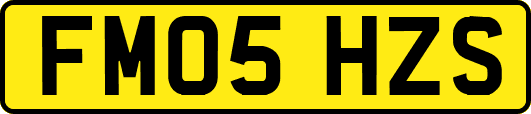 FM05HZS
