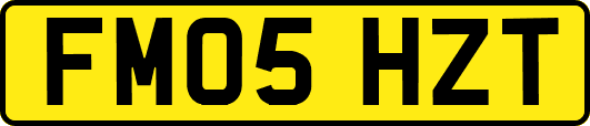 FM05HZT