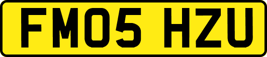 FM05HZU