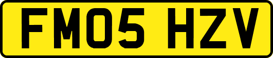 FM05HZV
