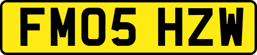FM05HZW