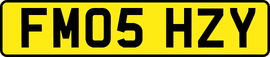FM05HZY