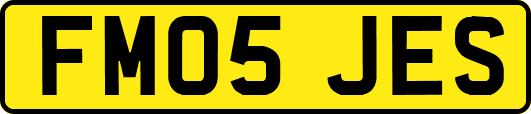 FM05JES