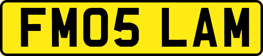FM05LAM