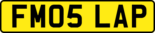 FM05LAP