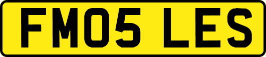 FM05LES