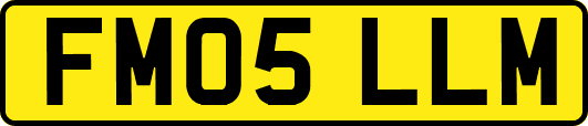 FM05LLM