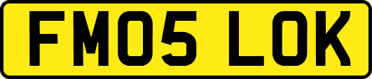 FM05LOK