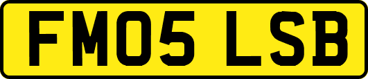 FM05LSB